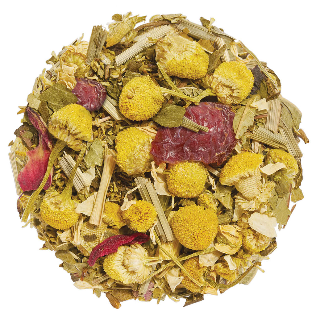 Chamomile Citron Event Box 40ct